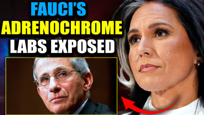 Adenochrome-labs-exposed-Tulsi.jpg