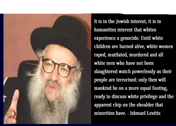 Rabbi Levitts.png