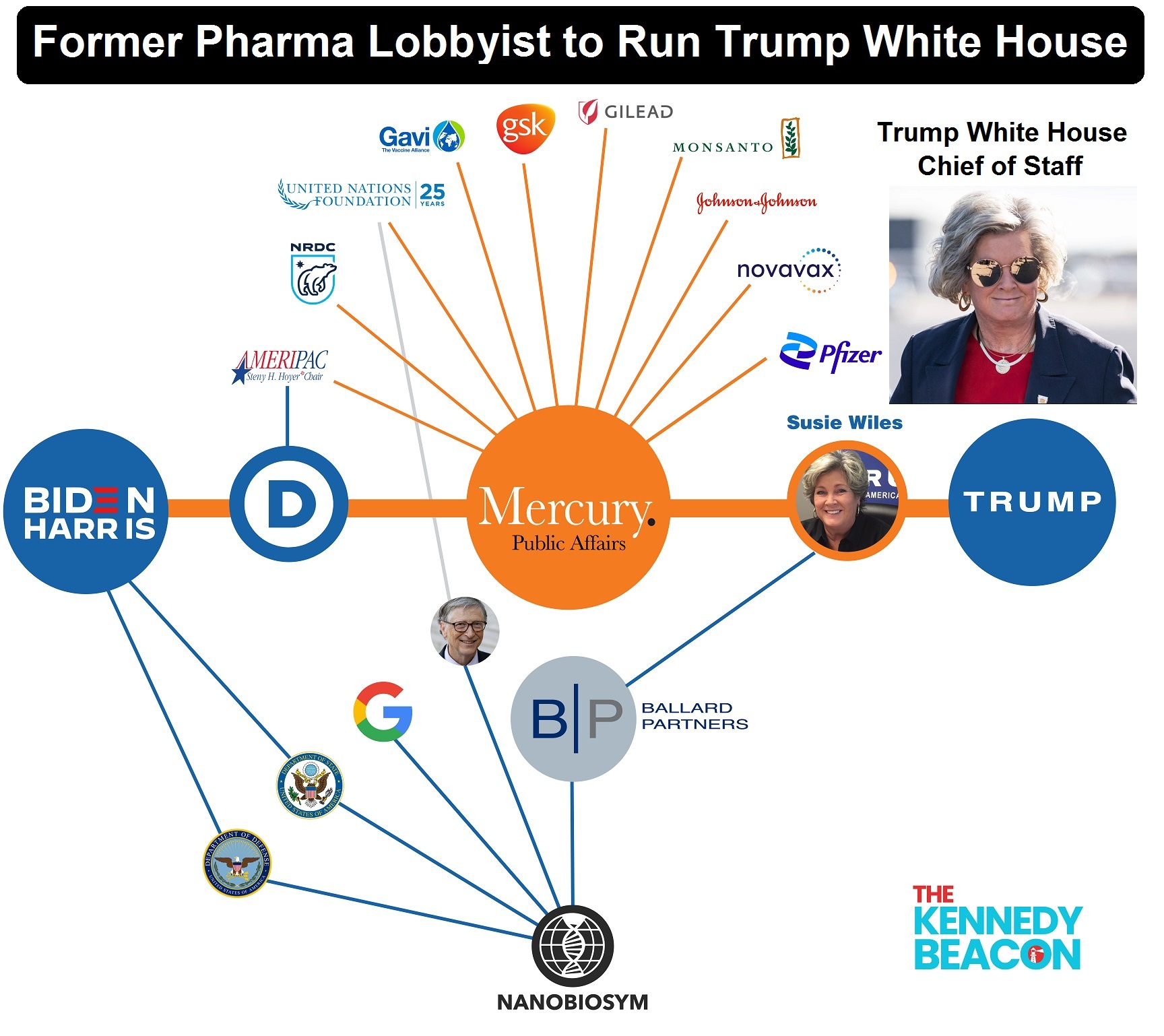 Susie-Wiles-Big-Pharma-Lobbyist.jpg