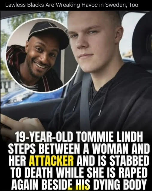blacks-sweden.jpg