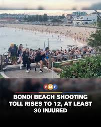 bondi-flee.jpeg