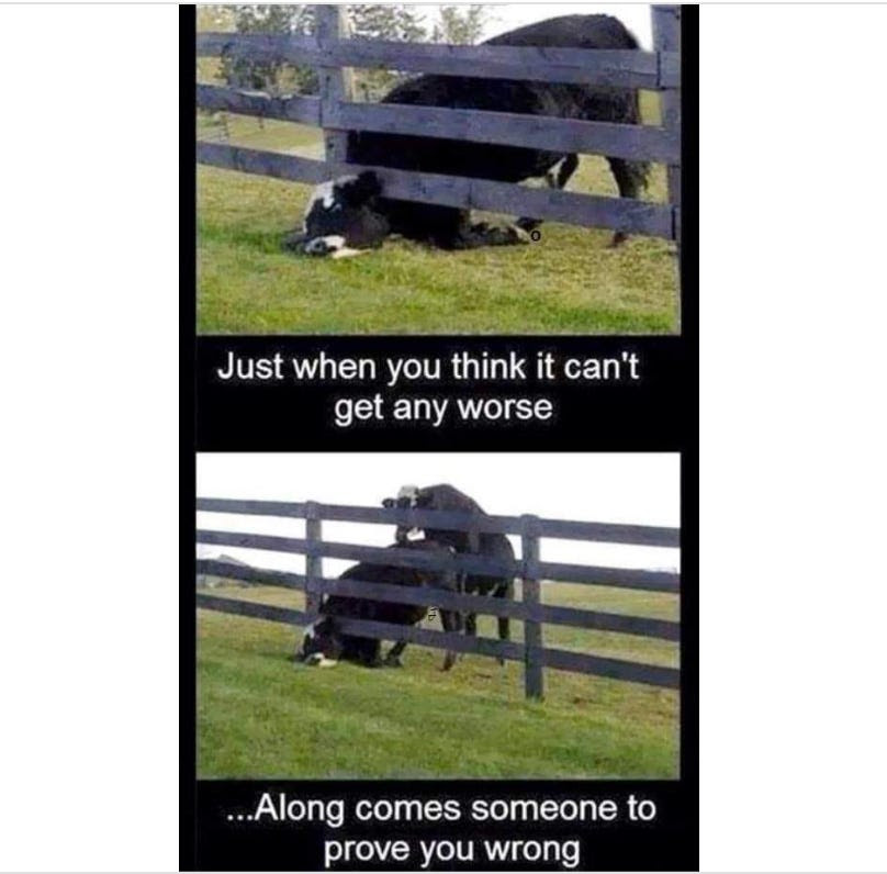 cant-get-worse.jpg