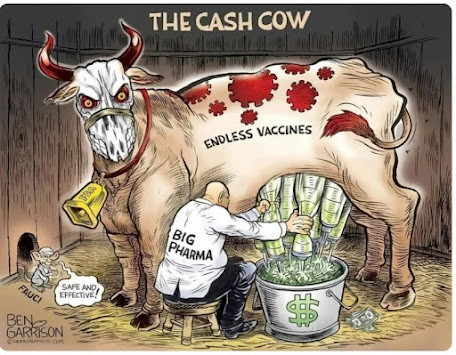 cash-cow-vaccines.jpeg