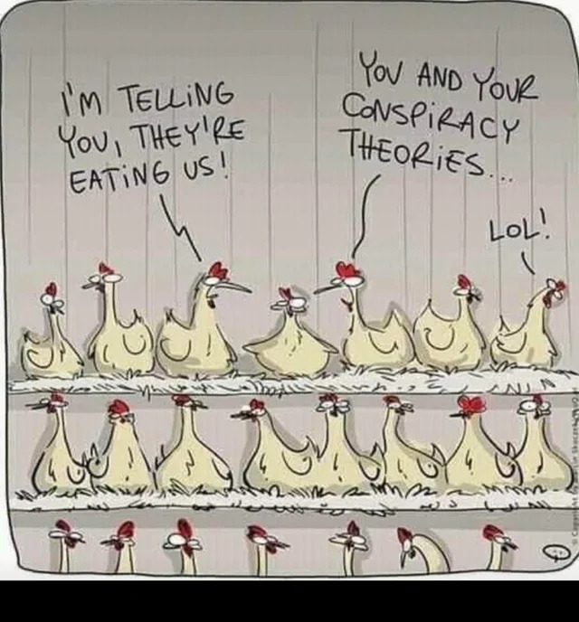 chicken-con-theory.jpg