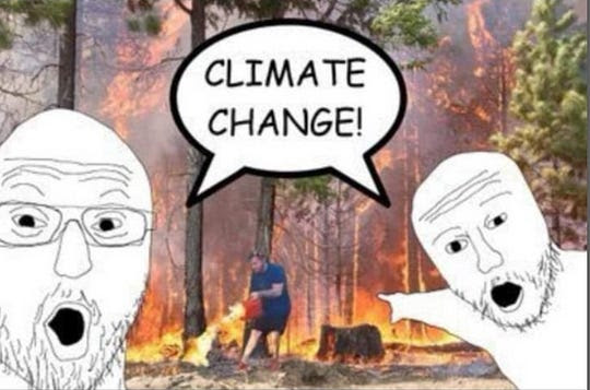 climate-arson.jpeg
