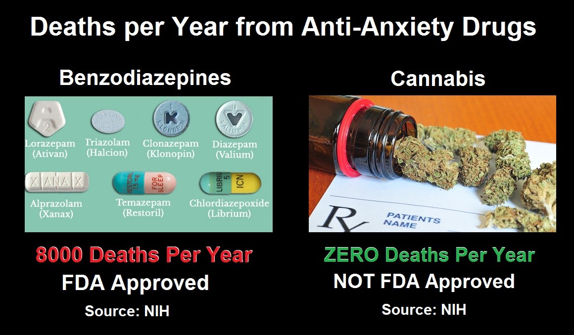 deaths-from-anti-anxiety-drugs.jpeg