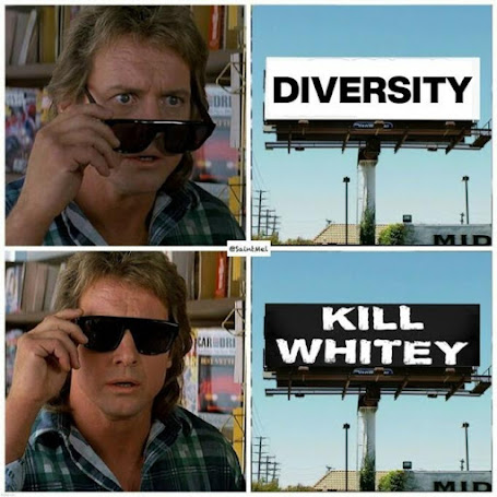 diversity-kill-whitey.jpeg