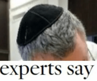 experts.png