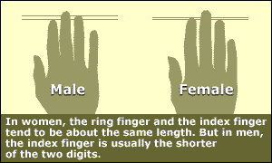 finger-chart.gif