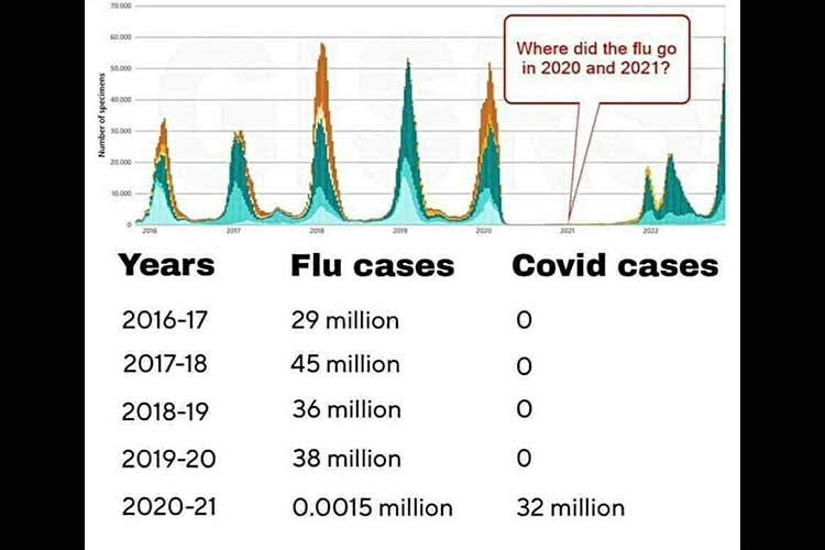 flu-go?.jpg