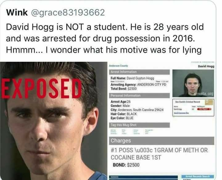 hogg.png