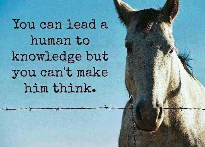 March 31- Trump Plans to Nuke Iran - Reports