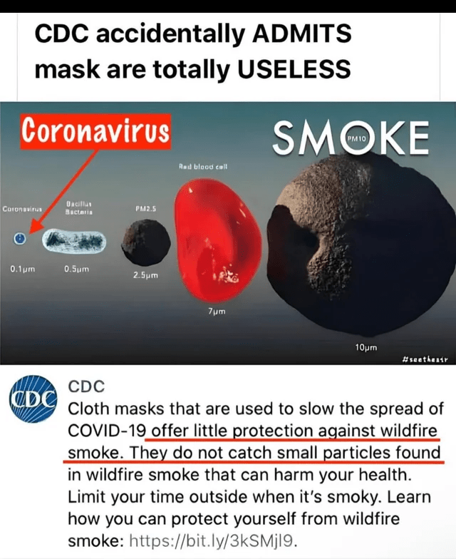masks-useless.png
