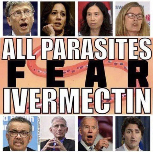 parasites-invermectin.jpeg