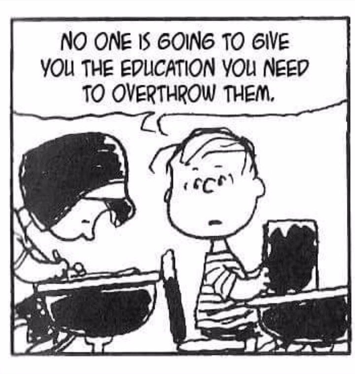 peanuts-education.jpg