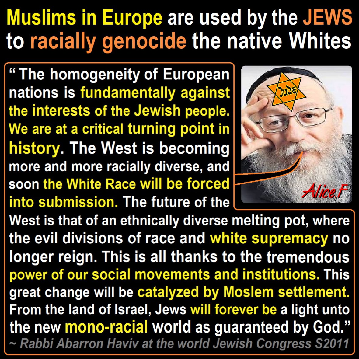 rabbi-world-jewish-congress-Muslims-in-Europe-are-used-by-the-JEWS-to-racially-genocide-the-native-Whites.jpg