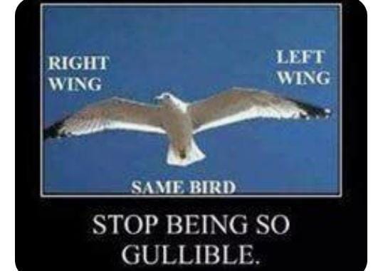 G Edward Griffin – It's All a Charade