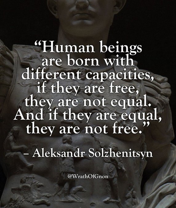 solz-free-equal.jpg