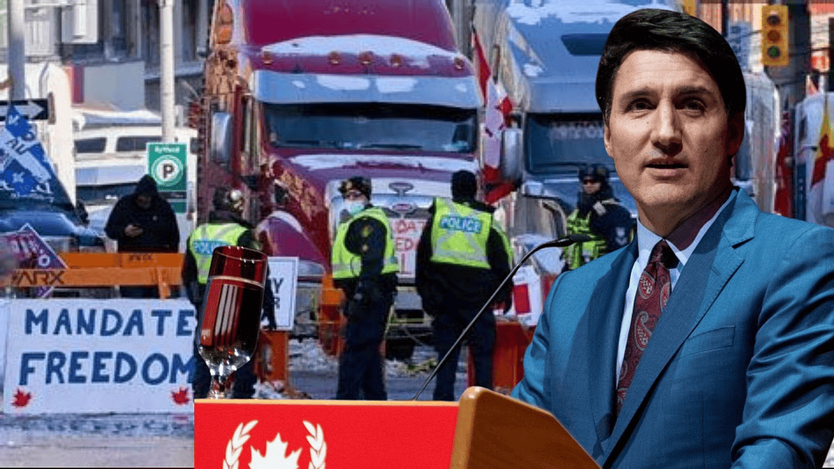 turdeau2.png