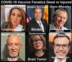 COVID-19-Vaccine-Zealots-Who-Dead-or-Injured-300x258-1.jpg