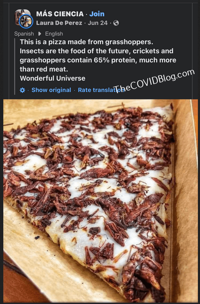 Grasshopper-pizza.png