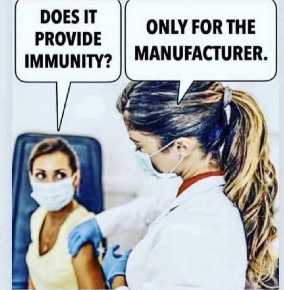 Immunity.jpeg