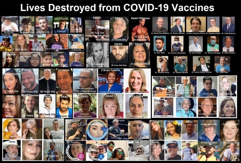 Lives-destroyed-from-COVID-Vaccines.jpg