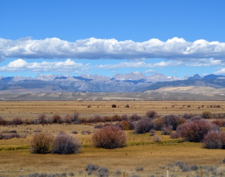 Sage Brush landscape.jpg