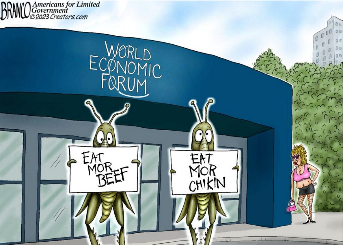 branco-bugs.jpg