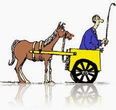 cart-horse-2026320407.jpg