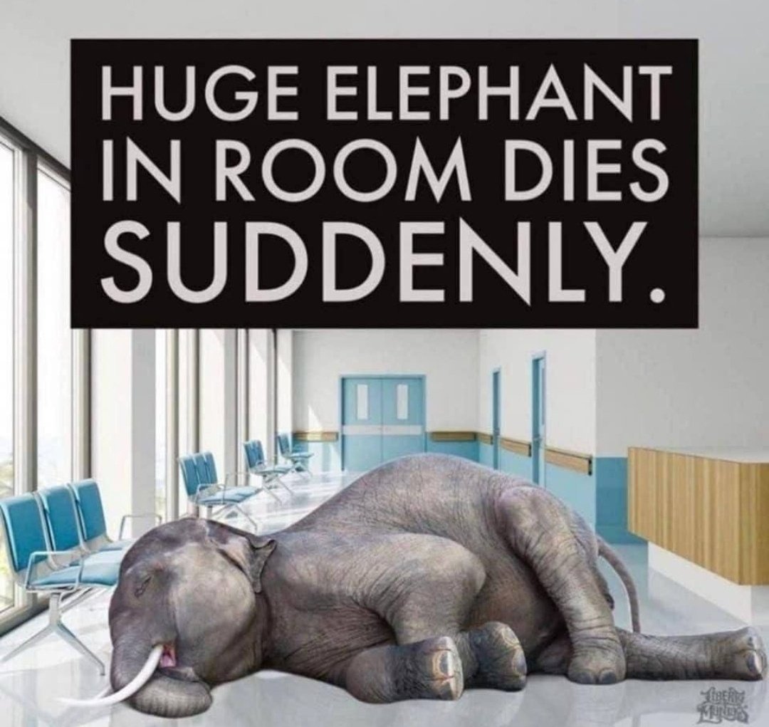 elephant-room-dies-suddenly.jpg