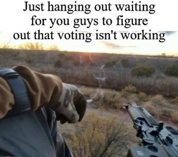 gun-voting-not-working5.jpg