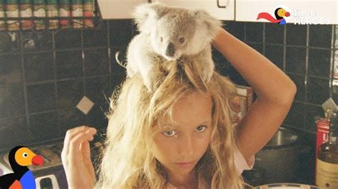 koala-girl.jpg