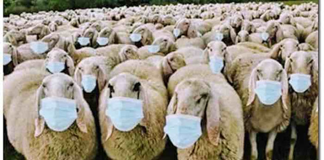 masks-sheep.jpg