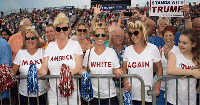 s_650_opednews_com_6285_trump-white-identity-politics-jpg_6285_20161110-794.gif