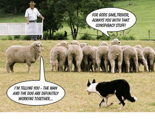 sheepdog.png