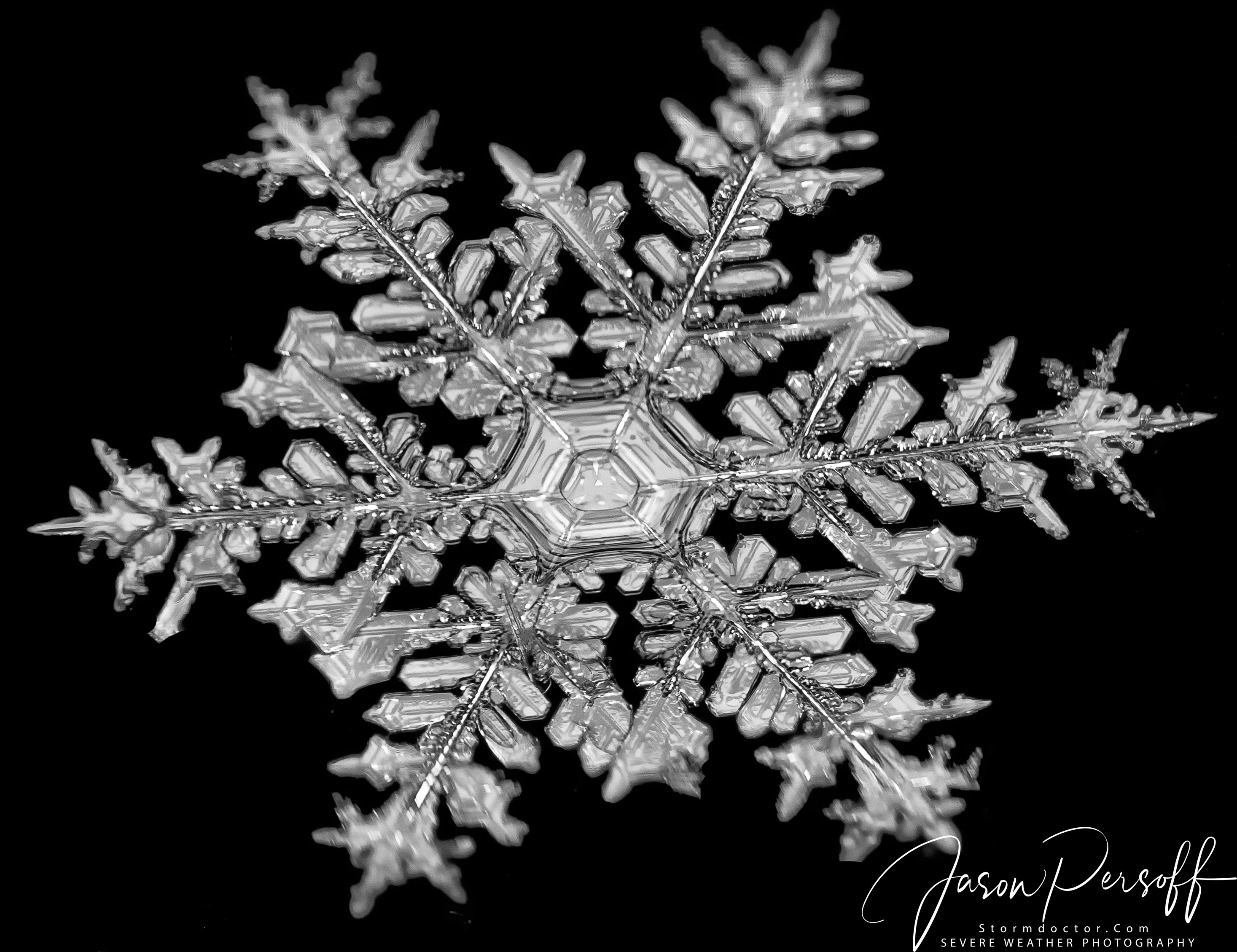 snowflake3.jpg
