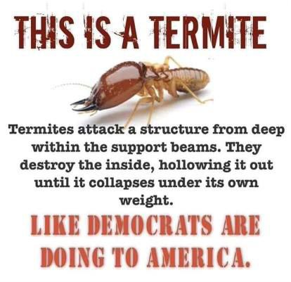 termite.png