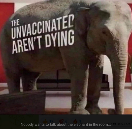 unvaxed-elephant.png