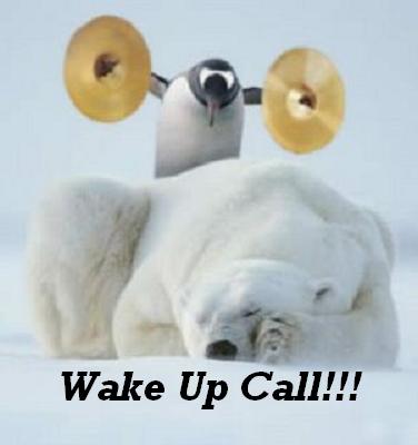 wake-up-bear.jpg