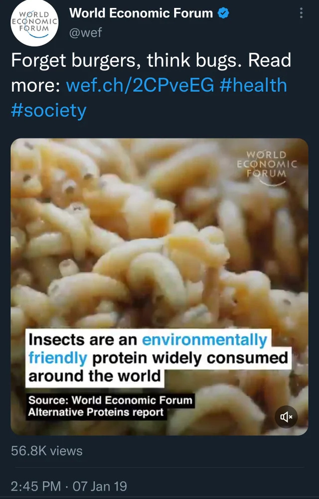 wef-eat-bugs_1.jpg