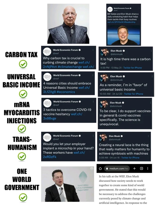 wef-musk.jpg