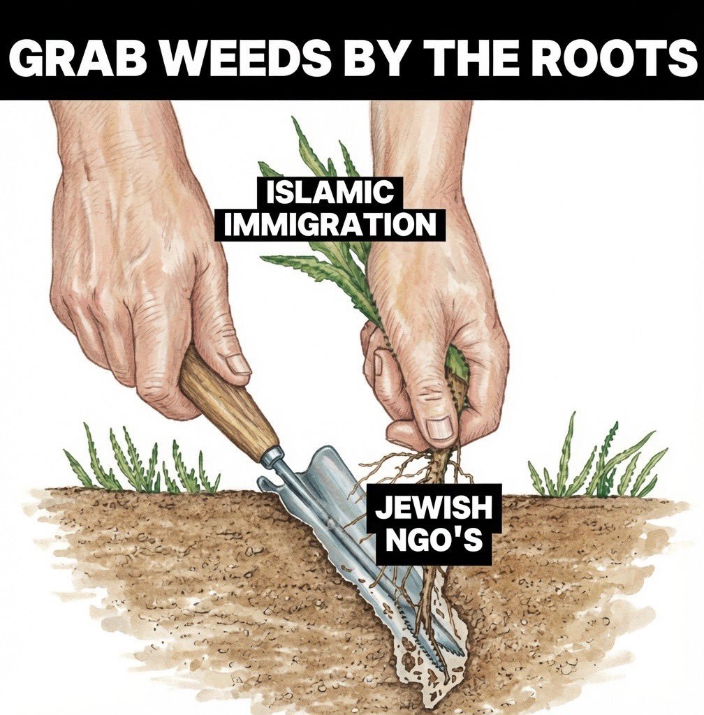 weeds-roots-ngos.jpeg